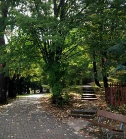 Szerencseliget Büfé & Fagyizó