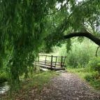 Tapolca-forrás Tanösvény Pápa - Egyéb