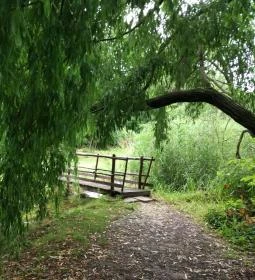 Tapolca-forrás Tanösvény