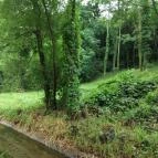 Tapolca-forrás Tanösvény Pápa - Egyéb