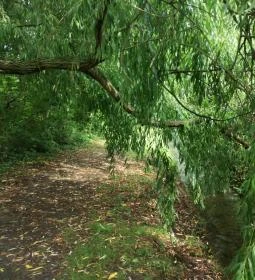 Tapolca-forrás Tanösvény