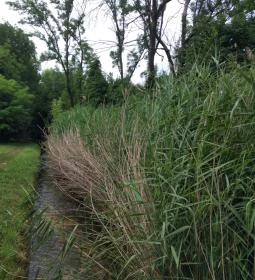 Tapolca-forrás Tanösvény