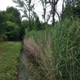 Tapolca-forrás Tanösvény Pápa - Egyéb