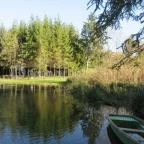 Tapolca-forrás Tanösvény Pápa - Egyéb