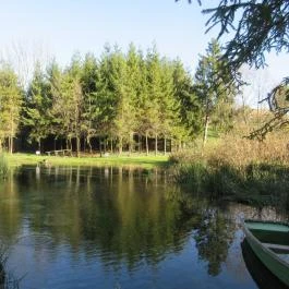 Tapolca-forrás Tanösvény Pápa - Egyéb