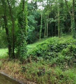 Tapolca-forrás Tanösvény