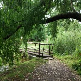 Tapolca-forrás Tanösvény Pápa - Egyéb