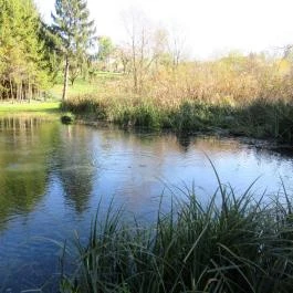 Tapolca-forrás Tanösvény Pápa - Egyéb