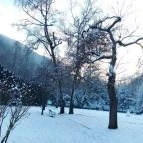 Terasz & Lobbybár Lillafüred - Egyéb