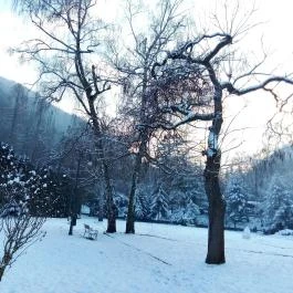 Terasz & Lobbybár, Lillafüred - Egyéb