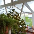 Thermal Hotel Superior Mosonmagyaróvár Mosonmagyaróvár - Egyéb