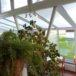 Thermal Hotel Superior Mosonmagyaróvár, Mosonmagyaróvár - Egyéb