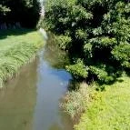 Thermal Hotel Superior Mosonmagyaróvár Mosonmagyaróvár - Egyéb