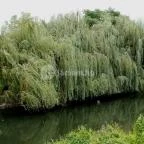 Thermal Hotel Superior Mosonmagyaróvár Mosonmagyaróvár - Egyéb