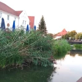 Thermal Hotel Superior Mosonmagyaróvár, Mosonmagyaróvár - Egyéb