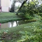 Ensana Thermal Sárvár Sárvár - Medence/kert