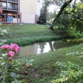 Ensana Thermal Sárvár, Sárvár - Medence/kert