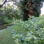 Ensana Thermal Sárvár Sárvár - Környék