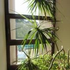 Ensana Thermal Sárvár Sárvár - Belső