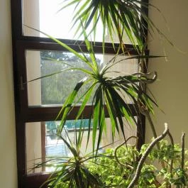 Ensana Thermal Sárvár, Sárvár - Belső