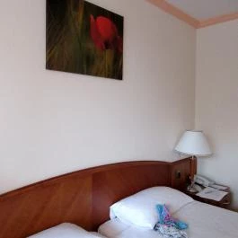 Ensana Thermal Sárvár, Sárvár - Szobák