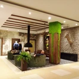 Thermal Hotel Visegrád, Visegrád - Belső