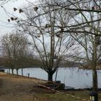 Tisza Balneum Hotel Tiszafüred - Medence/kert