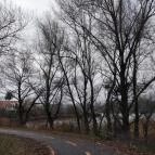 Tisza Balneum Hotel Tiszafüred - Környék