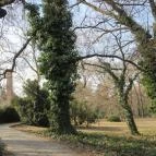 Tiszakürti Arborétum Kalandpark Tiszakürt - 