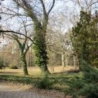 Tiszakürti Arborétum Kalandpark Tiszakürt - 