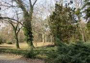 Tiszakürti Arborétum Kalandpark Tiszakürt