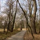 Tiszakürti Arborétum Kalandpark Tiszakürt - 