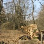 Tiszakürti Arborétum Kalandpark Tiszakürt - 