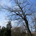 Tiszakürti Arborétum Kalandpark Tiszakürt - 