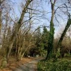 Tiszakürti Arborétum Kalandpark Tiszakürt - 