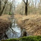 Tiszakürti Arborétum Kalandpark Tiszakürt - 