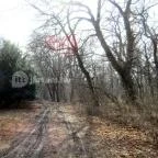 Tiszakürti Arborétum Kalandpark Tiszakürt - 