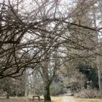 Tiszakürti Arborétum Kalandpark Tiszakürt - 