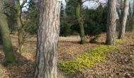 Tiszakürti Arborétum Kalandpark Tiszakürt - Egyéb