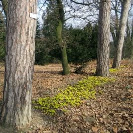 Tiszakürti Arborétum Kalandpark Tiszakürt - Egyéb