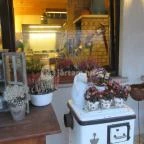 Trattoria al Forno Veresegyház - Egyéb