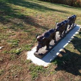 Zselici Csillagpark Zselickisfalud - Egyéb