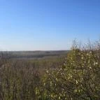 Zselici Csillagpark Zselickisfalud - 