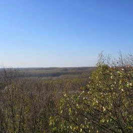 Zselici Csillagpark Zselickisfalud - Egyéb