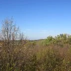 Zselici Csillagpark Zselickisfalud - 