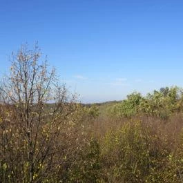 Zselici Csillagpark Zselickisfalud - Egyéb