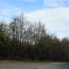 Zselici Csillagpark Zselickisfalud - 