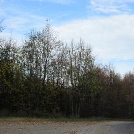 Zselici Csillagpark Zselickisfalud - Egyéb