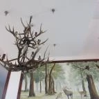 Zselicvad Étterem Bőszénfa - Belső