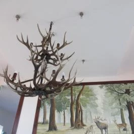 Zselicvad Étterem , Bőszénfa - Belső